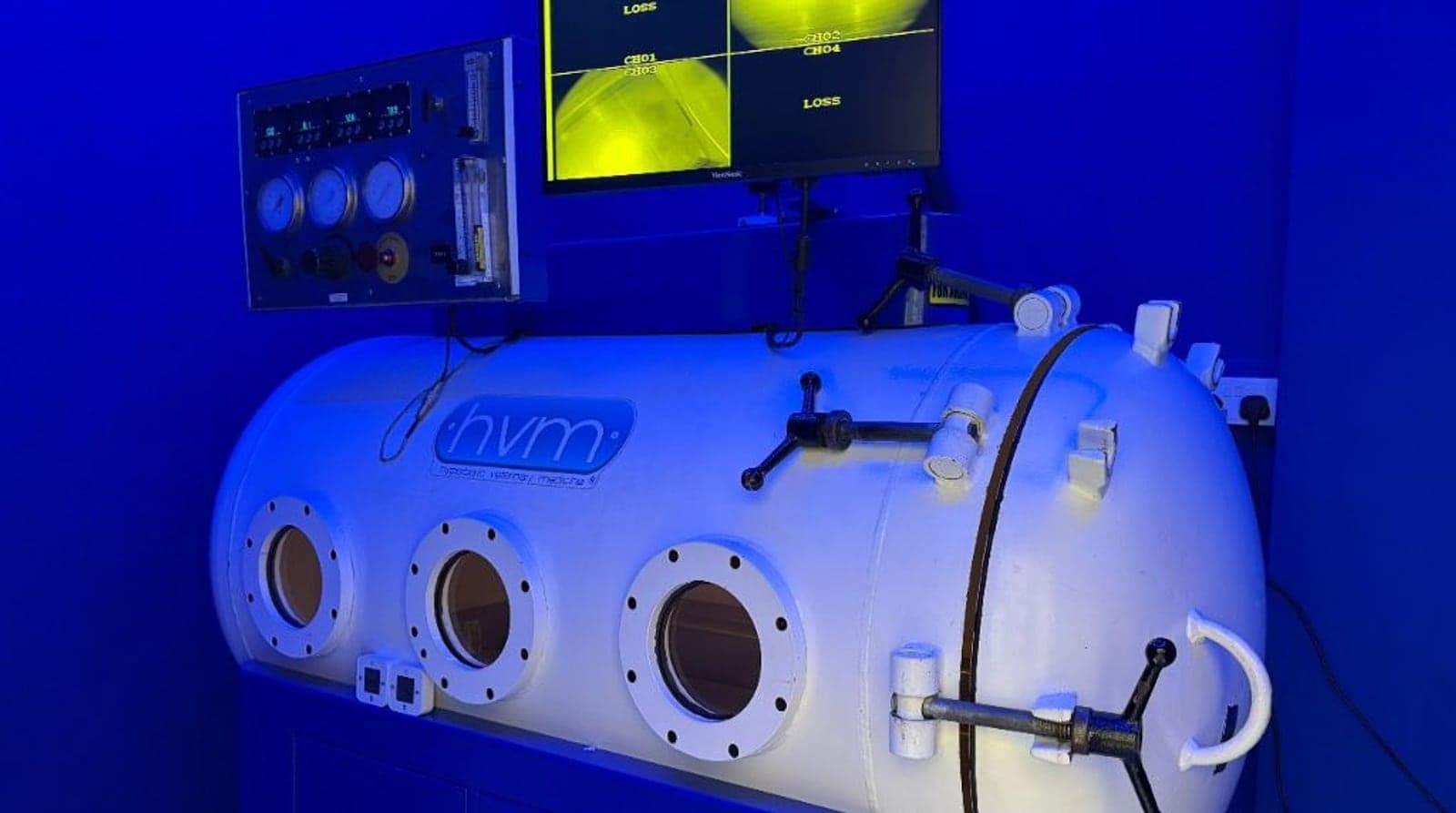 Pet inside hyperbaric oxygen therapy chamber at RehabVet